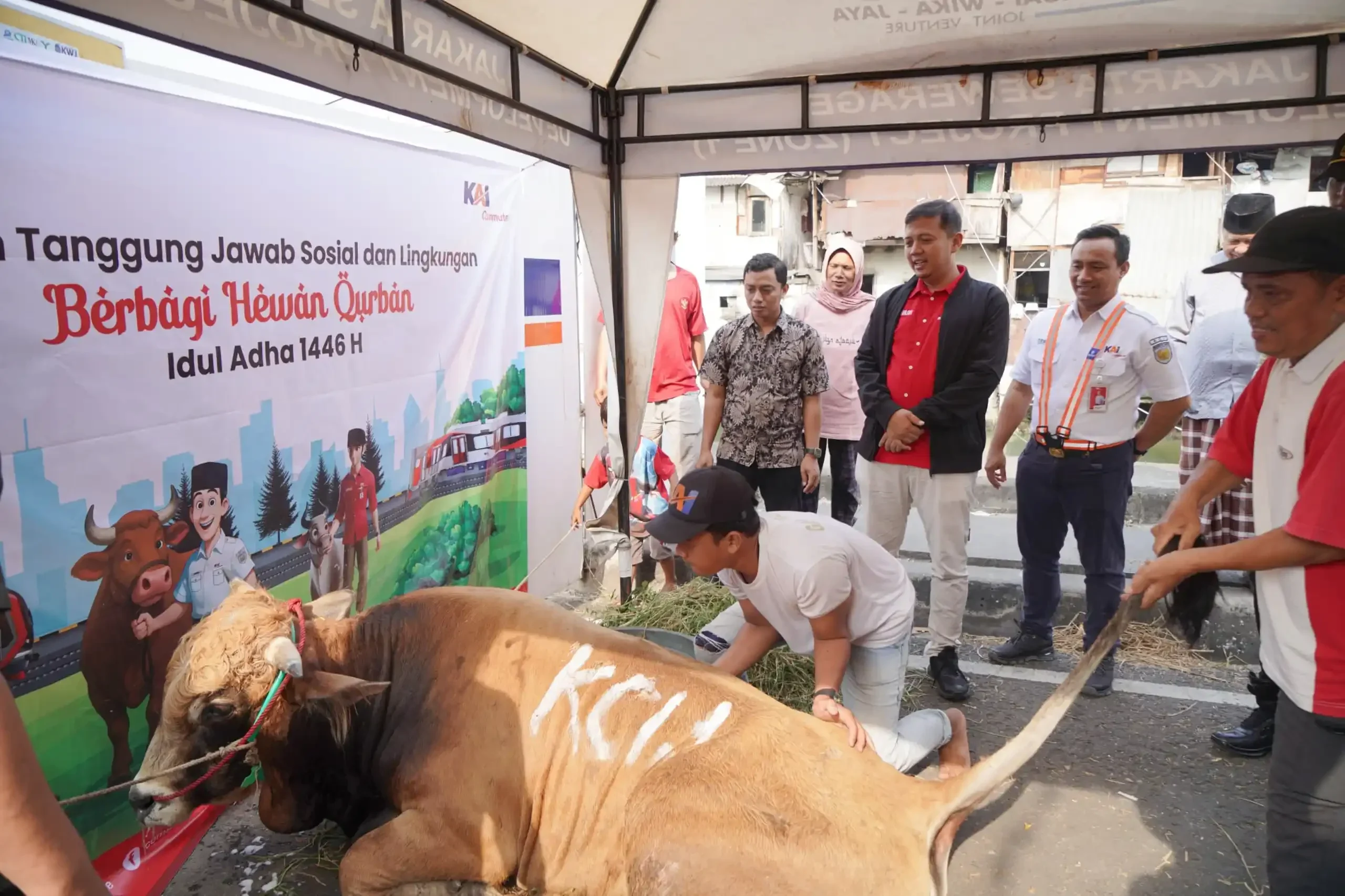KAI Commuter Bagi-Bagi Daging Kurban Gratis: Ada Kejutan di Balik Rel!
