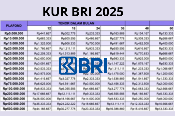 Jangan Lewatkan! Ini Cicilan Terbaru KUR BRI 2025 Pinjaman Rp50 Juta, Cek Tabel Angsuran Bulan Juni