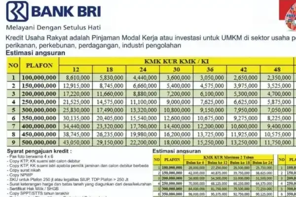 KUR BRI 2025: Pinjaman Rp500 Juta Cair! Cicilan Mulai Rp9 Jutaan, Ini Rahasia Skemanya!