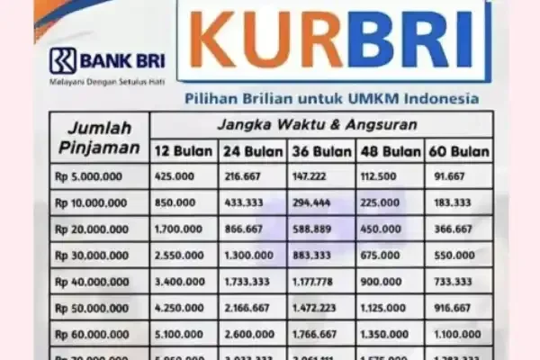 Modal Usaha Cair! KUR BRI 2025 Tawarkan Pinjaman Rp100 Juta di [Sebutkan Nama Kota/Kabupaten Jika Relevan], Ini Syarat Lengkapnya!
