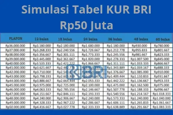 Pinjaman KUR BRI 2025: Cicilan 5 Tahun, Cair Rp100 Juta untuk UMKM di Jakarta!