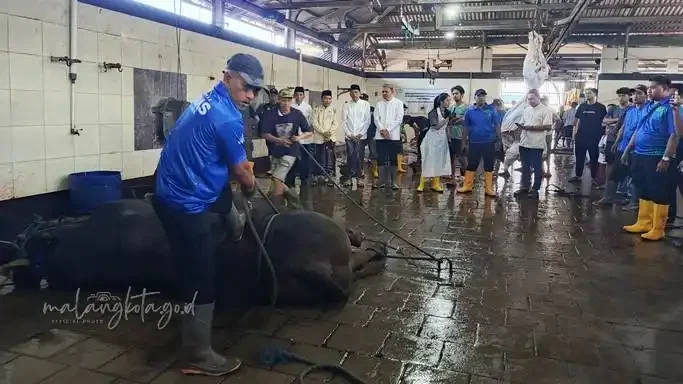 Blusukan Idul Adha, Wali Kota Malang Temukan Hal Tak Terduga di RPH Tunas!