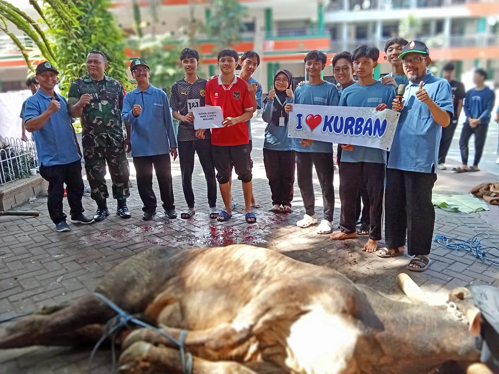 Wow! MAN 2 Kota Malang Tebar Berkah Kurban: 8 Sapi & 23 Kambing Ludes!