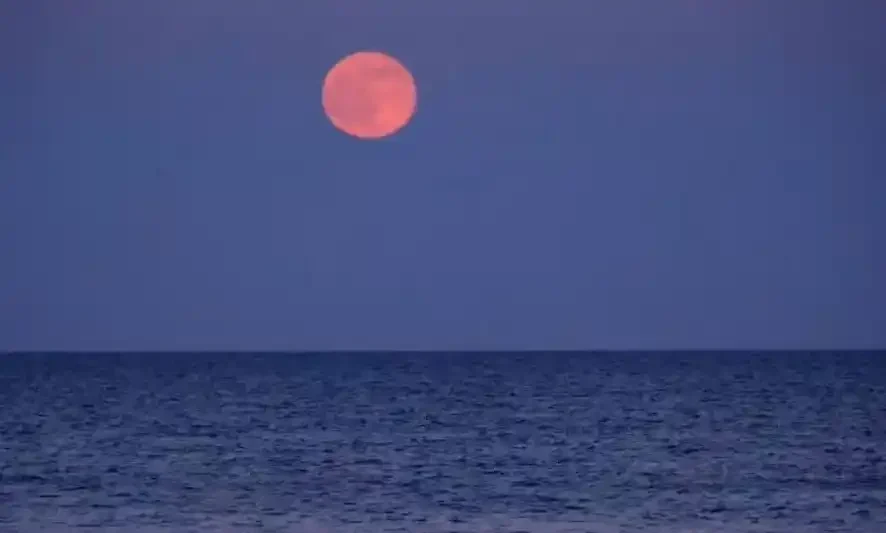 Strawberry Moon Malam Ini: Fakta Unik dan Cara Melihatnya di Langit Indonesia