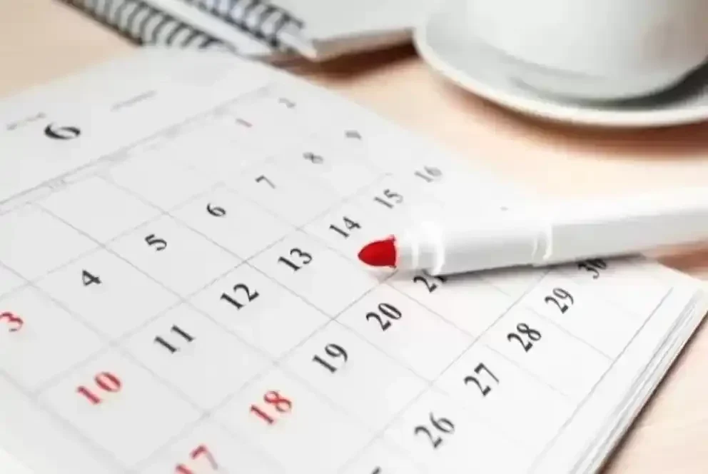 Libur Sekolah Juni 2025 Kapan? Jadwal Resmi DKI Jakarta, Jawa Barat, Jawa Timur, dan Seluruh Indonesia Akhirnya Terungkap!