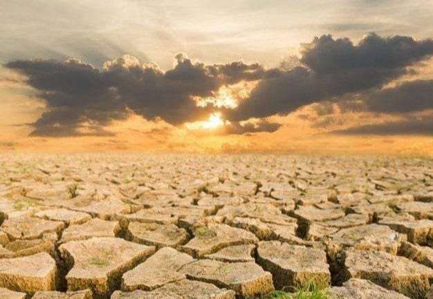 Kepala Daerah Siap-Siap! Mendagri Turun Tangan Selamatkan Sawah dari Kekeringan