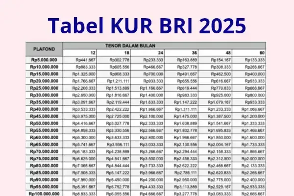 KUR BRI 2025: Simulasi Cicilan Rp100 Juta Tenor 5 Tahun, Angsuran Terendah Bulan Juli di [Nama Kota/Kabupaten Anda]!