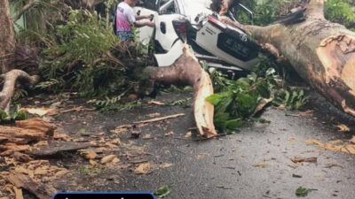 Malang Diterjang Angin Kencang: 22 Pohon Tumbang, 4 Kendaraan Ringsek, BPBD Akui Kewalahan