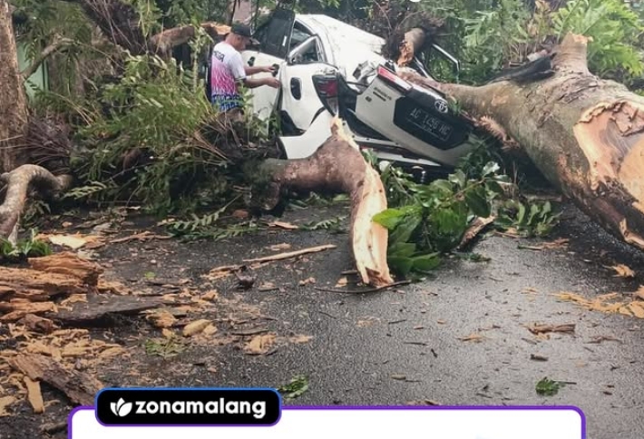 Malang Diterjang Angin Kencang: 22 Pohon Tumbang, 4 Kendaraan Ringsek, BPBD Akui Kewalahan