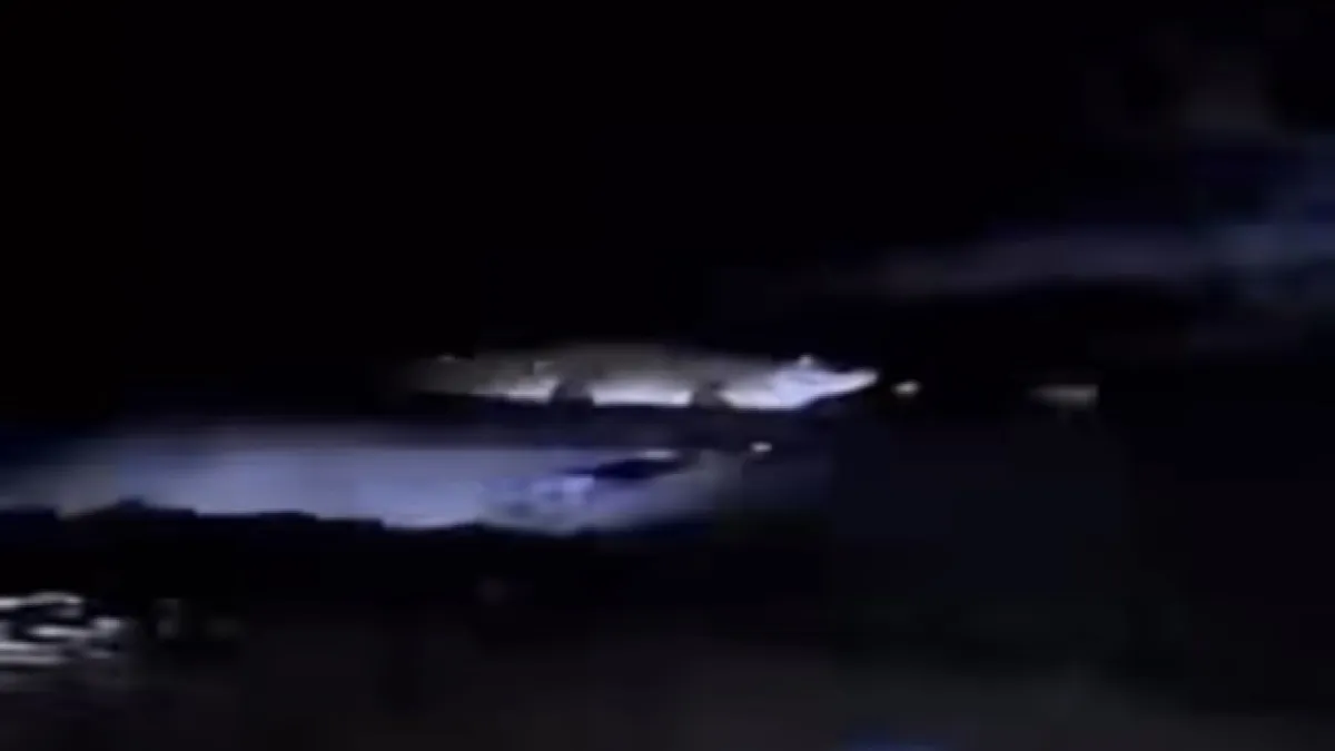 Video Viral Buaya Muncul di Pantai Watu Leter Malang, Wisatawan Diminta Waspada