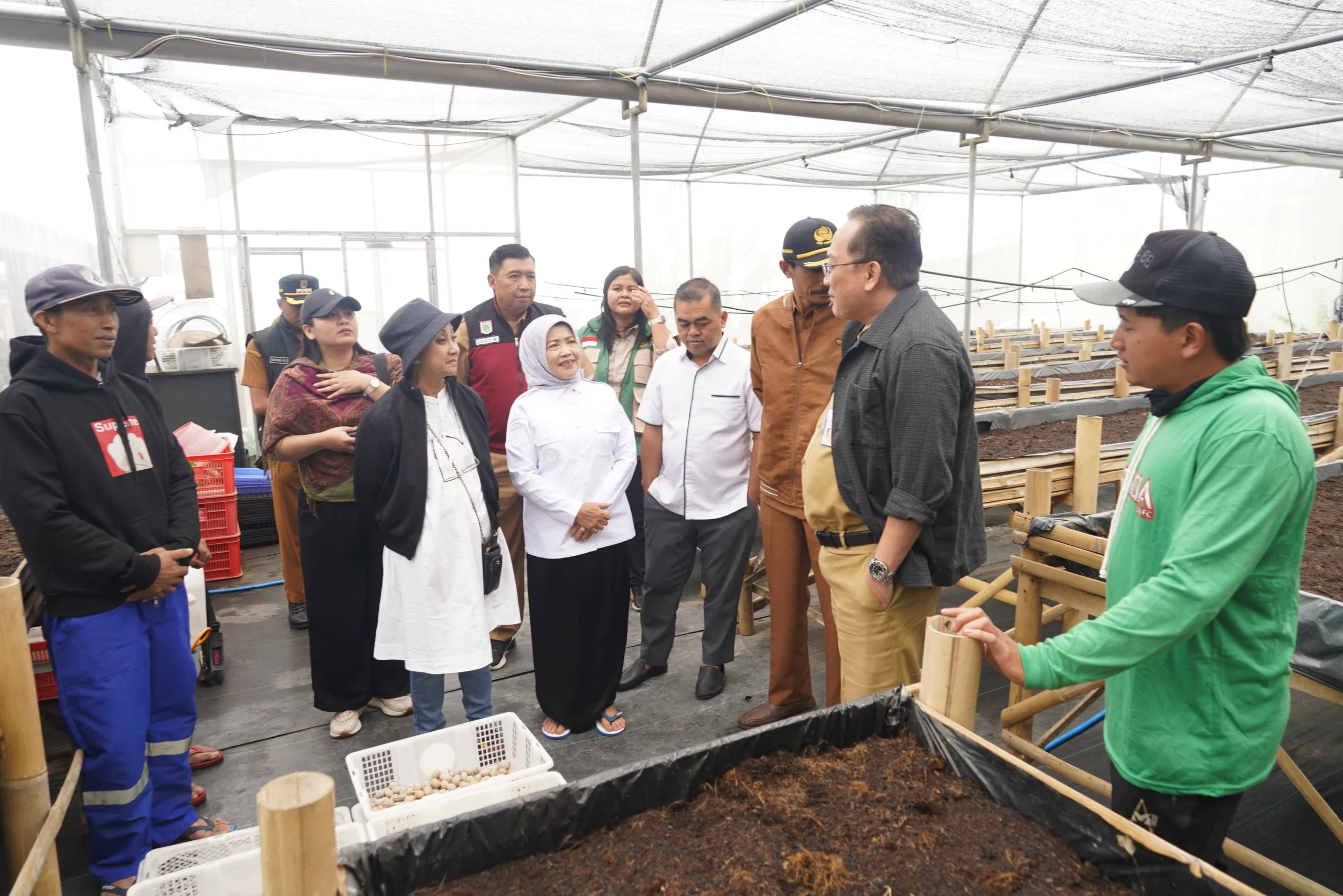 Wakil Bupati Malang Tinjau Potensi Pertanian Kentang di Ngadas Poncokusumo