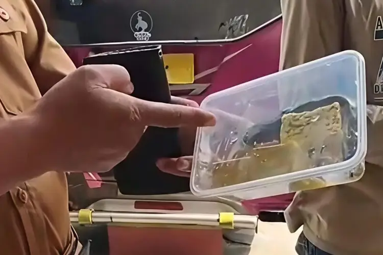 Kasus Penolakan MBG di SMAN 2 Pamekasan: Ikan Lele Mentah