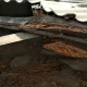 Rayap Datang Diam-Diam, Kenali Tanda dan Cara Mencegah Kerusakan Rumah