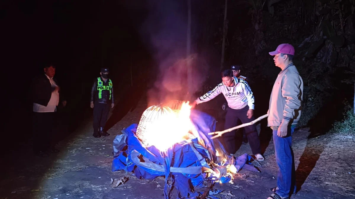 Polisi Bongkar dan Bakar Arena Sabung Ayam di Tengah Perkebunan Singosari Malang