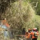 Kebakaran Gunung Semeru Meluas, Api Bergerak ke Arah Malang